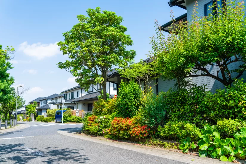 「植栽」とは？住宅における植栽の役割や植栽におすすめの植物を解説