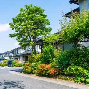 「植栽」とは？住宅における植栽の役割や植栽におすすめの植物を解説のサムネイル